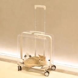 Mala carrinho transparente para Pet, transporte exterior, acessórios de viagem, Pet Products, gatos e cães pequenos Design - Image 3