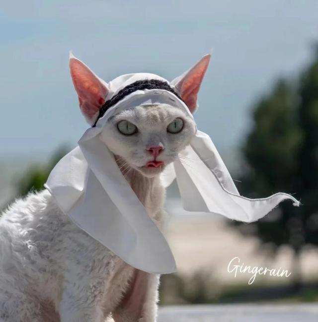 Chapéu para Pets de Halloween com Orelhas de Gato - Touca Solar Estilo Árabe para Animais de Estimação