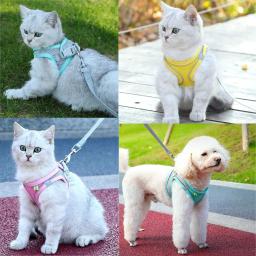 Gato do animal de estimação arreios e trela conjunto reflexivo respirável arnês para gatos conforto ajustável arnês do cão para gatinho suprimentos para animais de estimação - Image 5