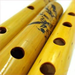 Flauta de bambu profissional para estudantes, alta qualidade, instrumentos musicais de sopro, chinês Dizi Xiao flautas verticais, 6 furos - Image 2