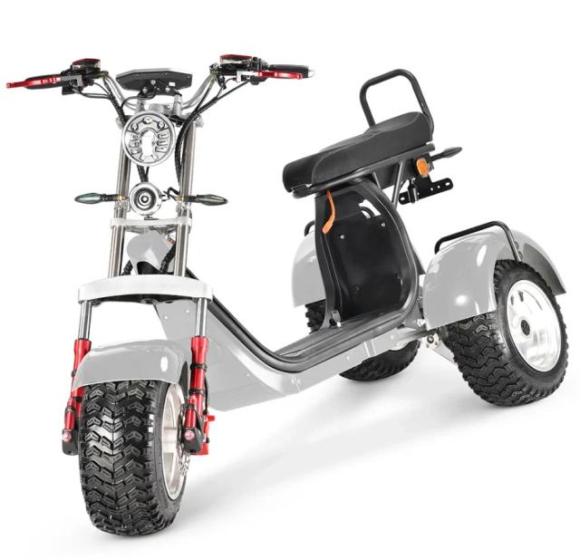 Triciclo Elétrico Monociclo de 3 Rodas com Bateria 60V e 3 * 20Ah - Alta Qualidade e Preço Atraente na UE
