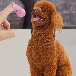 Pet Finger Toothbrush, Escovar Kits, Remoção de mau hálito, Pequeno cão e gato, Produtos de limpeza dental - Image 5