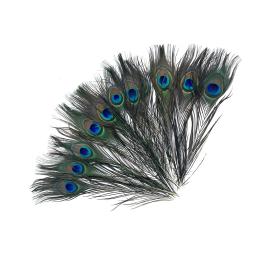 Natural Longo Penas do Olho do Pavão Grande, DIY Craft Ornament, Art Decoração, Natural Hat Hair, 15Pcs - Image 2