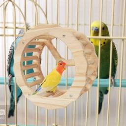 Roda de exercício para papagaio, roda giratória interativa, pássaros de madeira, brinquedos, gaiola, acessórios para conures, periquitos, papagaios, calopsitas - Image 2
