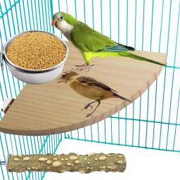 Caixa De Alimentador De Pássaro Copos De Papagaio Tigelas Recipiente De Aço Inoxidável Gaiola De Animais De Estimação De Alimentação De Água Acessórios - Image 4