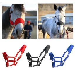 Equipamento estável acolchoado macio da corrida dos cavalos do colar da cabeça do halter do cavalo da espiga - Image 3