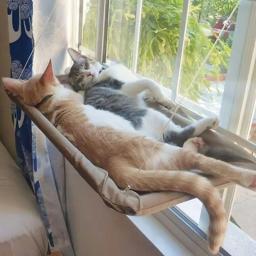 Camas Suspensas Respiráveis para Animais de Estimação, Suprimentos Bonitos, Hammock Cozy, Shelf Seat Bed, Sem Cheiro, Resistente à Mordida - Image 1