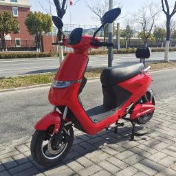 Bicicleta elétrica de íon de lítio para adultos, bicicleta leve de liga de magnésio para homens e mulheres, bicicleta assistida por energia - Image 3