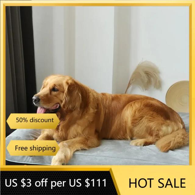 Cama Ortopédica em Espuma para Cães - Travesseiro Extra Grande 50"x36"x10" - Conforto e Suporte para Pet