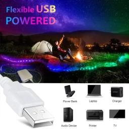 Fita LED com controle remoto infravermelho, fita de lâmpada flexível para casa, decoração de festa, luz de fundo de TV, Bluetooth inteligente, USB, RGB, 5050, 5V - Image 3