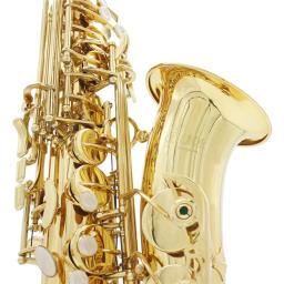 SLADE-Saxofone de bronze com Case, E Sax Plano, Saxofone Alto, Instrumento de Sopros, Reeds Bocal, Luvas, Peças e Acessórios - Image 6
