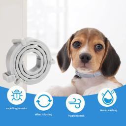 Coleira anti-pulgas e tick para gatos e cães, Coleiras veterinárias, Colar antiparasitário, Produtos para cães grandes e pequenos, Novo - Image 2