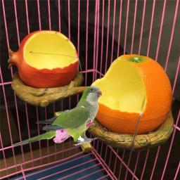 Alimentador de pássaros e papagaios em forma de frutas, tigela de comida e água romã laranja, recipiente para gaiolas de gaiola, 1pc - Image 3