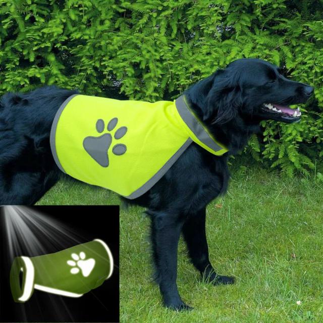 Jaqueta Refletiva Amarela de Alta Visibilidade para Cachorro - Roupas Fluorescentes para Noite ao Ar Livre