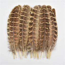 Pena de faisão de pavão natural pequena ganso frango penas plumas diy artesanato festa acessórios de casamento jóias decorativas - Image 6