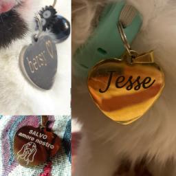 Personalizado tag id do gato do cão gravado personalizado colar do animal de estimação nome charme pingente osso chaveiro colar filhote de cachorro acessório dropshipping - Image 6