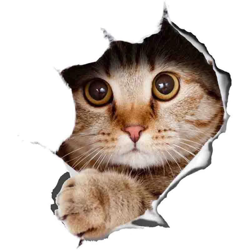 LYKX-3D Cat Adesivos, Breakout Siamese para Parede, Geladeira, Banheiro, Diário, Papelaria, Flocos de Álbum, Scrapbook - Image 1