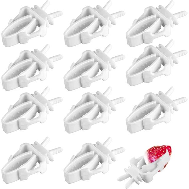 Alimentador para Aves de Estimação - Suporte para Frutas e Vegetais, Clips de Alimentação para Papagaios, 12 Peças de Acessórios para Gaiola