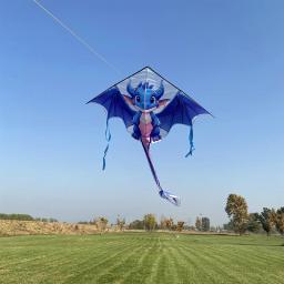 Dragon Kites Flying Toys para Crianças, Professional Wind Kite, Jogos ao ar livre, Brinquedos Esportivos, Flying Bird Koi, Frete Grátis - Image 2