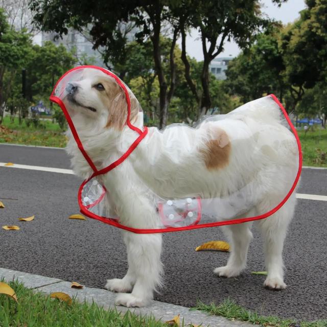 Casaco de chuva impermeável transparente com capuz para cães médios e grandes, com borda colorida