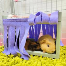 Hide House Bed Tassel Door Curtain, macio confortável, lavável, Small Animals Cage, acessórios para cobaia - Image 1