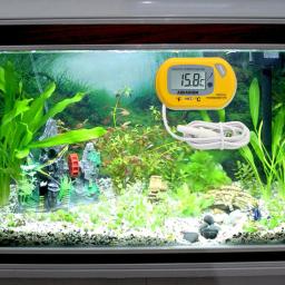 Digital aquário termômetro com ventosa, detector de temperatura, alta precisão, Pet Shop - Image 6