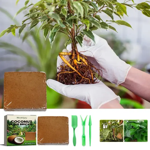 Fibra de Coco Natural para Terrário de Répteis: Cama Ideal para Tartarugas e Lagartos