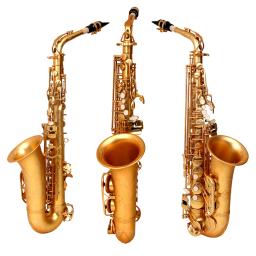 SLADE-Eb saxofone Alto com Case, bronze, fosco, ouro, E Flat, Sax, instrumento de sopro, Boutique, palhetas Acessórios - Image 2
