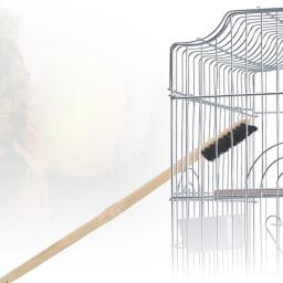 Bird Cage Escova De Limpeza, Suprimentos Duráveis Para Papagaios, Suprimentos Necessários, 14.37" - Image 1