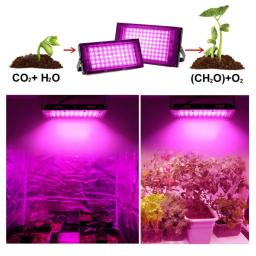 Full Spectrum LED Grow Light, Lâmpada Phyto para Estufa, Iluminação hidropônica de crescimento vegetal com plugue EU, AC 220V, 50W, 100W, 200W, 300W - Image 6