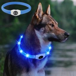 LED Luminous PVC Dog Collar, impermeável, USB Luz, Segurança Noturna, Brilhante Acessórios Pet, Grande, Médio, Cães pequenos, Novo - Image 1