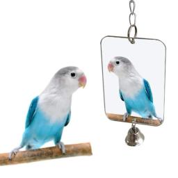 Espelho decoração pendurado suprimentos para animais de estimação brinquedo sino 1pc papagaio pássaro paraqueet jogar gaiola - Image 5