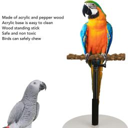 Altura ajustável Bird Perch Stand, Training Stand para Periquito Budgie, Pet Products, Indoor e Outdoor, Acessórios - Image 5