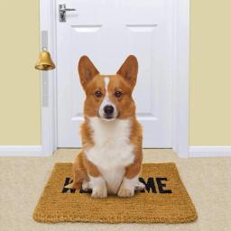 Profissional alto claro bronze campainha formação com parafusos, sino pendurado para cães potty, Pet fornecimentos - Image 5