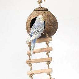 Papagaio natural casca de coco ninho de pássaro esconderijo casa playpen suprimentos para hamster cobaias aves casas habitats - Image 4