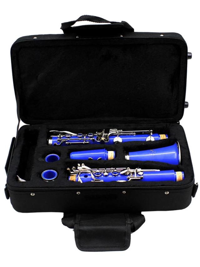 Clarinete Bb Sib SLADE-17 em Baquelite com Acessórios Completos: Caixa, Palhetas, Pano de Limpeza e Chaves de Fenda