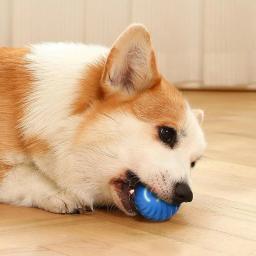 Bola de brinquedo automática do cão em movimento, USB inteligente, Saltar, Rotação, Interativo, Mastigar brinquedo para cachorro - Image 5