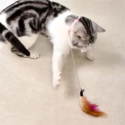 Brinquedos interativos para gatos, Teaser de penas engraçadas, Vara com Bell, Coleira de animais, Gatinho jogando varinha, Brinquedos de treinamento para gatos, Suprimentos - Image 3