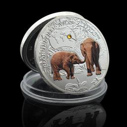 Conjunto de moedas de prata para amantes de animais raros, Medalha Comemorativa em Cápsula, Presente para amantes de animais, África 1000 kWa, 12pcs - Image 2