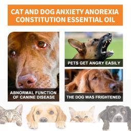 Óleo Essencial Calmante para Alívio da Ansiedade para Cães e Gatos, Dor Anti-Ansiedade, Gotas Orgânicas, 30ml - Image 3