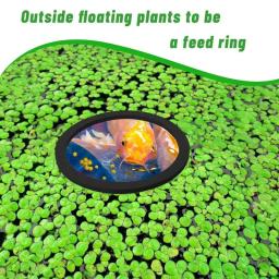 Anel De Alimentação De Peixes, Planta Flutuante, Curral, Mantendo As Plantas De Alimentos No Lugar, Suprimentos De Aquário - Image 3