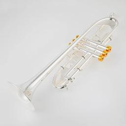 Tradivarius-TR600 Trompete com Bocal, Trompete, Banhado a Prata, Instrumento Musical, Grau Profissional, Novo, Venda Quente - Image 6