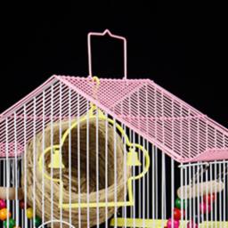 Pequena casa ao ar livre do pássaro com gaiolas, gaiola, brinquedos, produtos para animais, mochila, Hamster, Budgie, Jaula, Pajaro, RR50BN - Image 4