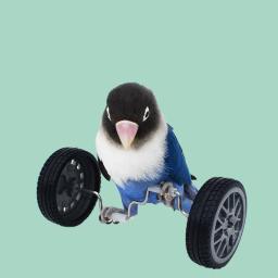 Papagaio equilíbrio carro Deboring brinquedos, pequeno e médio porte pássaro suprimentos, Roller skate, adereços de treinamento de habilidade, Phoenix - Image 3