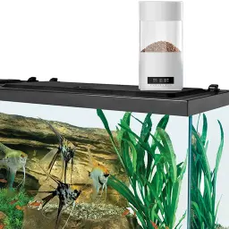 Alimentador automático de peixes com temporizador, Digital Aquarium Food Feeding Tools, Dispenser portátil, Novo - Image 6
