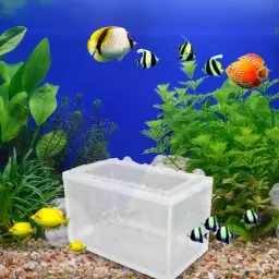 Juvenil-Rede De Separação De Peixes, Criação De Peixes, Caixa De Isolamento, Criador De Aquário, Alimentador Para Casa, Incubação Fry com Ventosas - Image 3