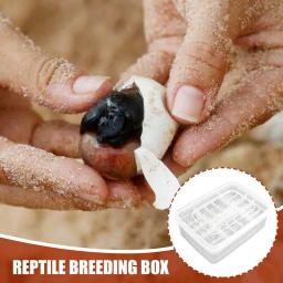 Caixa de incubação transparente Reptile Egg, Caso para incubação Gecko Lagartos Lions Juba, Reprodução Incubação, 16 Grades - Image 2
