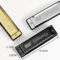 Boca Órgão Judeu's Harp Harmonica com Case Puzzles para Crianças, Instrumento Musical Profissional, C Tone, Blues, Boca, 10 Buracos - Image 4
