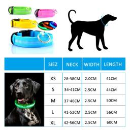 Anti-Lost LED Light Collar for Dogs, Luminoso noturno, Pet Products, Carregamento USB, Bateria, Puppies Supplies, Pet Acessórios - Image 6