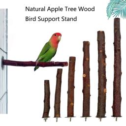Madeira Natural Stand Rack para Pet, garfo de madeira crua, poleiros ramo de árvore, mastigar mordida brinquedos, esquilo e pássaro, poleiros de hamster, 1PC - Image 1